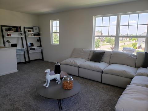 153 Hedgerow Dr, Elgin, IL 60124 photo 14