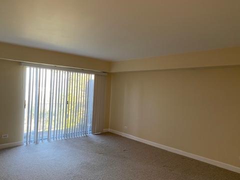 1430 Sandstone Dr #314, Wheeling, IL 60090 photo 10