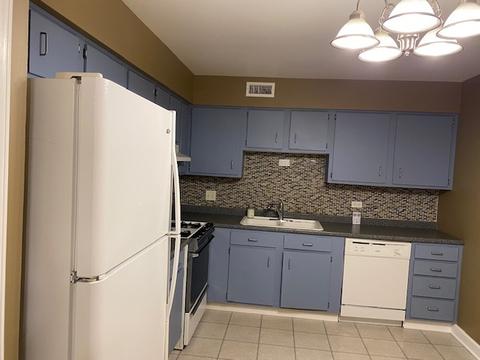1430 Sandstone Dr #314, Wheeling, IL 60090 photo 6