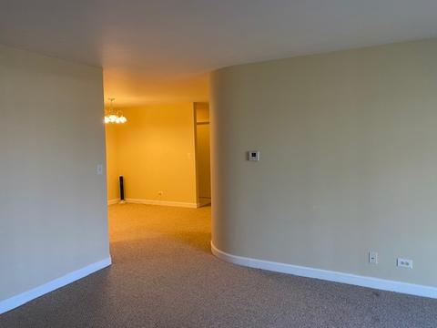 1430 Sandstone Dr #314, Wheeling, IL 60090 photo 11
