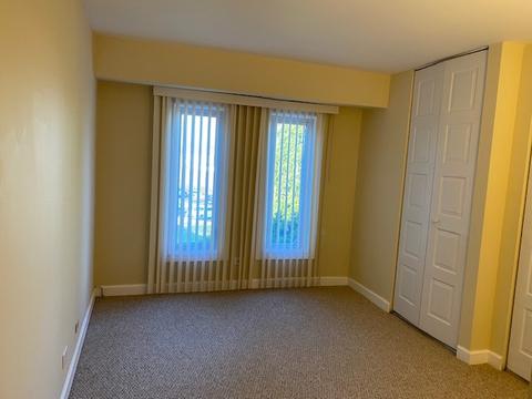 1430 Sandstone Dr #314, Wheeling, IL 60090 photo 14
