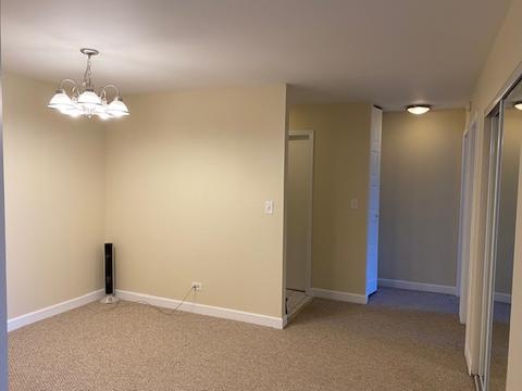 1430 Sandstone Dr #314, Wheeling, IL 60090 photo 12
