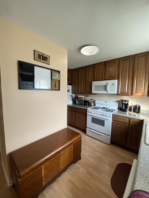 154 S Hale Ave, Bartlett, IL 60103 photo 13