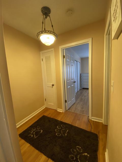 154 S Hale Ave, Bartlett, IL 60103 photo 21