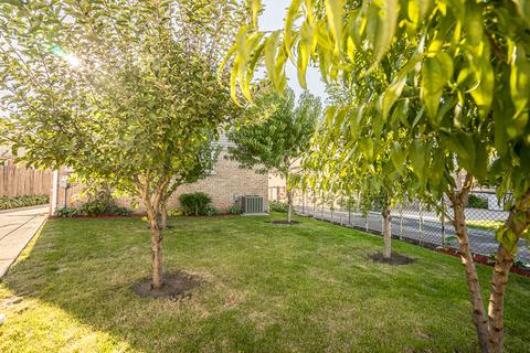 4107 Ruby St, Schiller Park, IL 60176 photo 16
