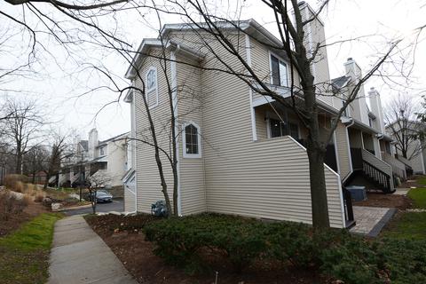 201 E Parallel St #3F, Palatine, IL 60067 photo 22