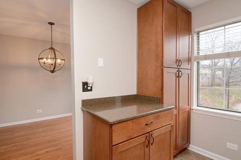 201 E Parallel St #3F, Palatine, IL 60067 photo 12