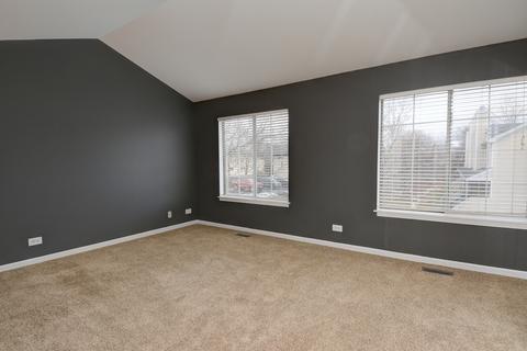 201 E Parallel St #3F, Palatine, IL 60067 photo 17