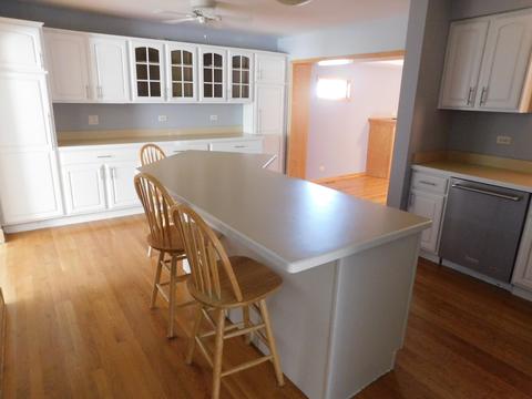 10023 S Artesian Ave, Chicago, IL 60655 photo 9