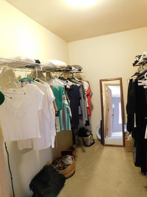10023 S Artesian Ave, Chicago, IL 60655 photo 19