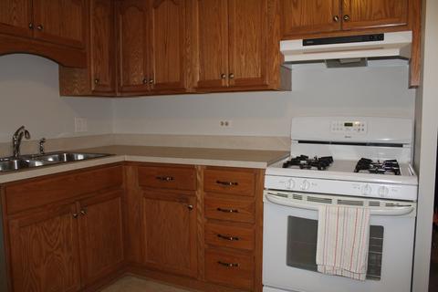 1450 Sandpebble Dr #218, Wheeling, IL 60090 photo 8