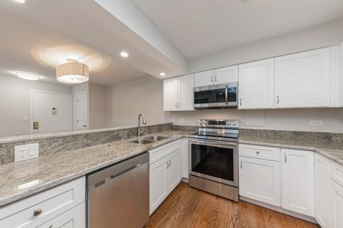 4506 Kings Walk Dr #1D, Rolling Meadows, IL 60008 photo 5