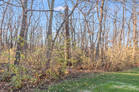 2533 Oak Tree Ln, Plainfield, IL 60586 photo 23