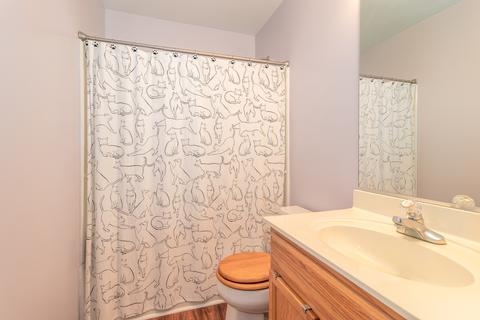 2533 Oak Tree Ln, Plainfield, IL 60586 photo 12