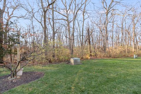 2533 Oak Tree Ln, Plainfield, IL 60586 photo 22