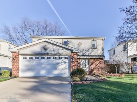 735 Randi Ln, Hoffman Estates, IL 60169 photo 1