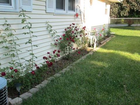 120 Hickory Dr, Lindenhurst, IL 60046 photo 5