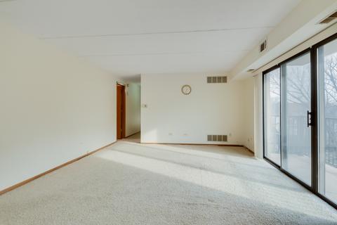 1441 E Thacker St #403, Des Plaines, IL 60016 photo 5