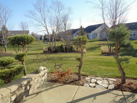 2459 Rolling Ridge Ln, Elgin, IL 60124 photo 2