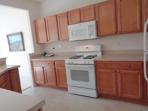 2459 Rolling Ridge Ln, Elgin, IL 60124 photo 7