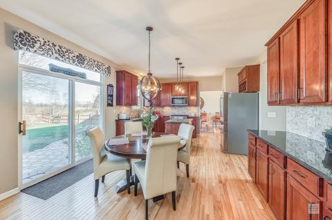 11328 Glenbrook Cir, Plainfield, IL 60585 photo 5