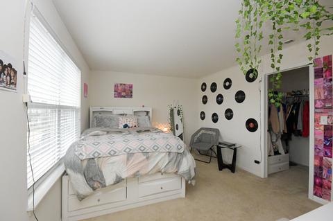 14911 S Gardner St, Plainfield, IL 60544 photo 29