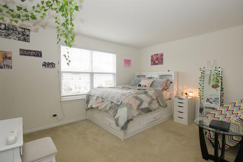 14911 S Gardner St, Plainfield, IL 60544 photo 28