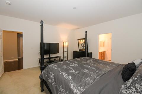14911 S Gardner St, Plainfield, IL 60544 photo 21