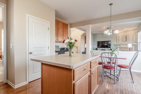 25118 Wright Ln, Plainfield, IL 60585 photo 8