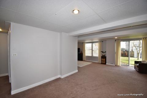 643 Morning Glory Ln, Bartlett, IL 60103 photo 27