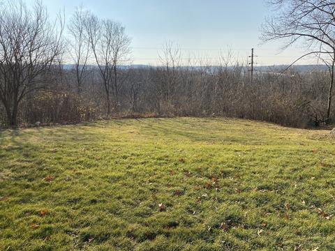 227 E Caroline St, Spring Valley, IL 61362 photo 3
