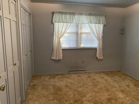 227 E Caroline St, Spring Valley, IL 61362 photo 9
