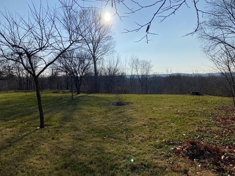 227 E Caroline St, Spring Valley, IL 61362 photo 4
