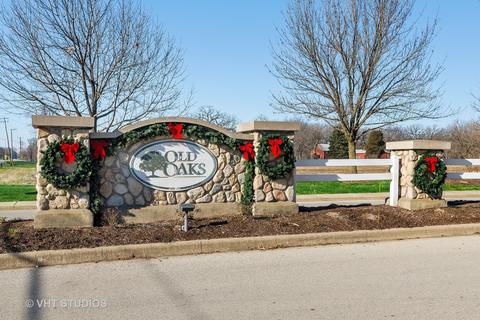 2539 Oak Tree Ln, Plainfield, IL 60586 photo 15
