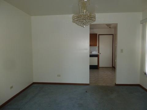 13829 S Mandarin Ct, Plainfield, IL 60544 photo 6