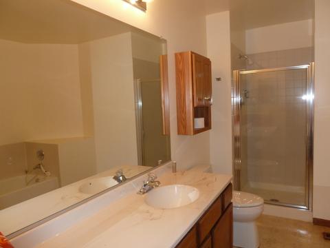 13829 S Mandarin Ct, Plainfield, IL 60544 photo 8