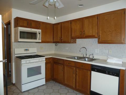 13829 S Mandarin Ct, Plainfield, IL 60544 photo 9