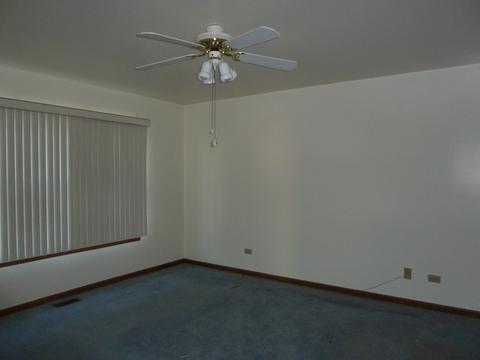 13829 S Mandarin Ct, Plainfield, IL 60544 photo 5