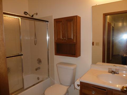 13829 S Mandarin Ct, Plainfield, IL 60544 photo 7