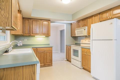 450 S Hickory Ave, Bartlett, IL 60103 photo 8