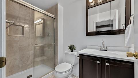 1313 Leeds Ct, Wheaton, IL 60189 photo 17