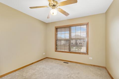 13265 Millbank Dr, Plainfield, IL 60585 photo 19