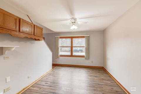 319 Spring Rd, Ingleside, IL 60041 photo 13