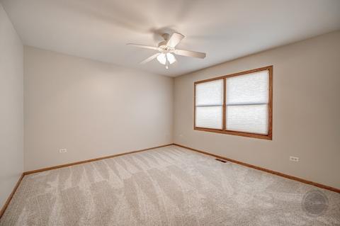 13217 Blackstone Ln, Plainfield, IL 60585 photo 25