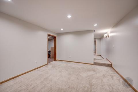 13217 Blackstone Ln, Plainfield, IL 60585 photo 30