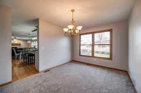 13217 Blackstone Ln, Plainfield, IL 60585 photo 14
