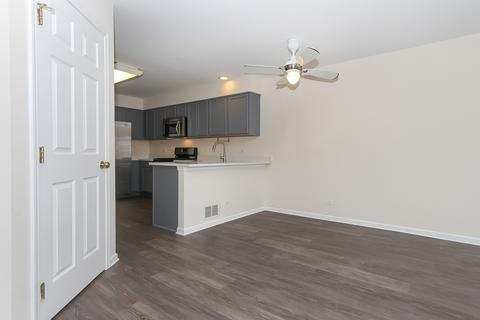 1341 Filly Ln, Bartlett, IL 60103 photo 16