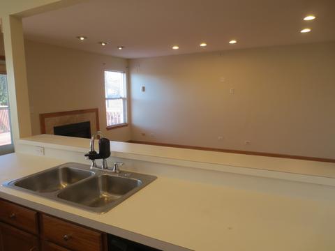 1407 Eliot Trl, Elgin, IL 60120 photo 14