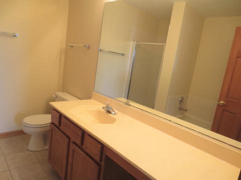 1407 Eliot Trl, Elgin, IL 60120 photo 19