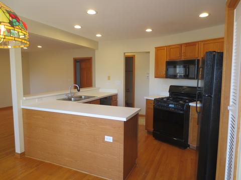 1407 Eliot Trl, Elgin, IL 60120 photo 11